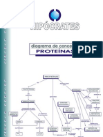 Diagrama de Conceitos_Proteínas