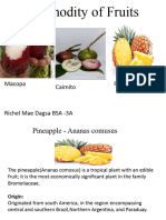 Three Commodity of Fruits Dagsa