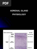 Download Adrenal Gland Physiology Dr by api-3769252 SN7248867 doc pdf