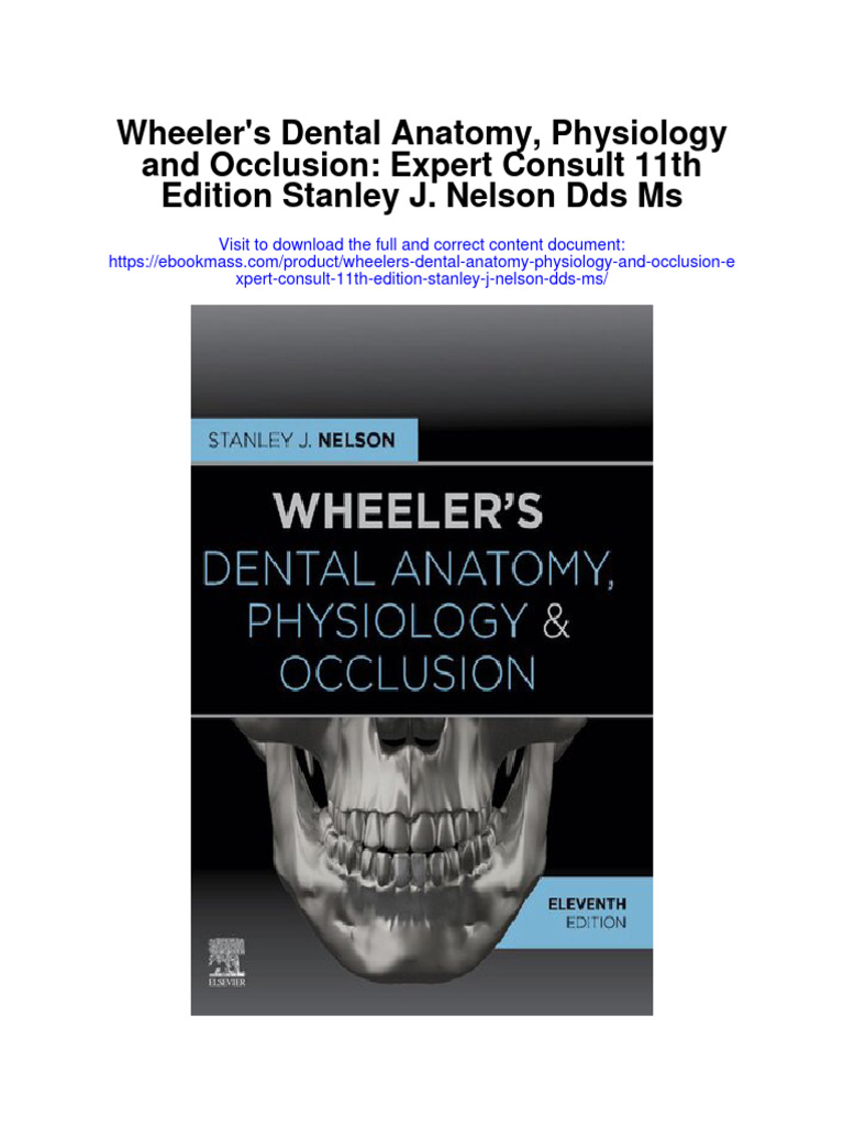 Wheelers Dental Anatomy Physiology and Occlusion Expert Consult 11Th