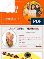 Anatomia Revisao 1