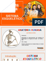 Anatomia Aula 5 Sistema Esqueletico