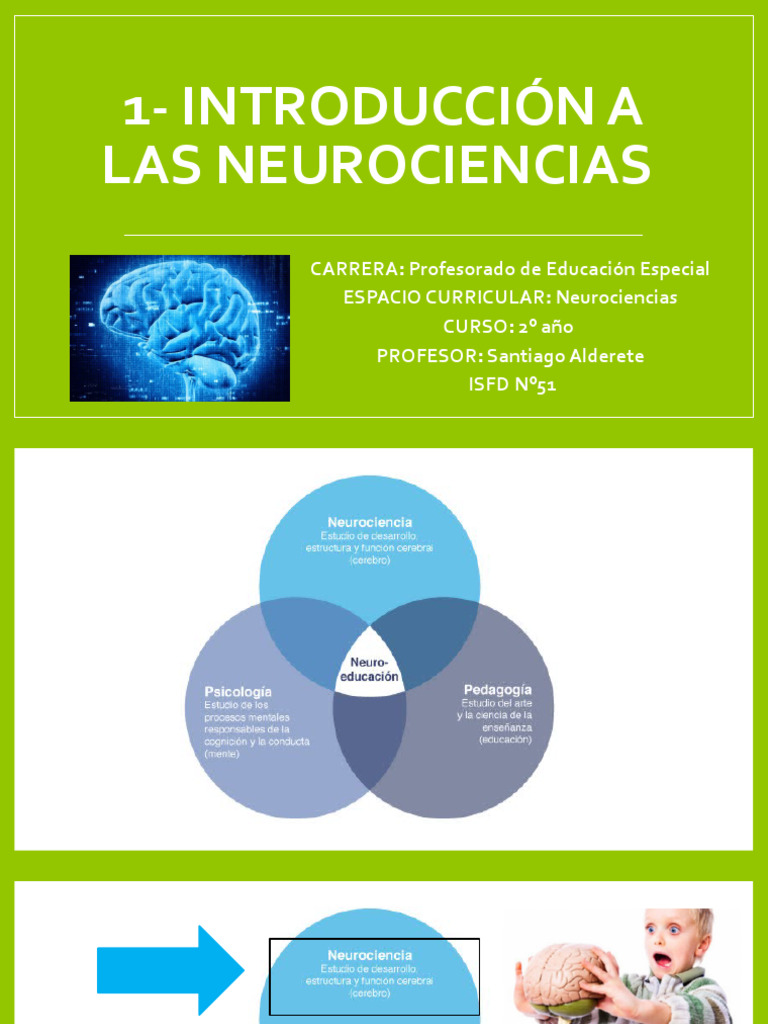 Introducción a las Neurociencias | PDF | Neurociencia | Cerebro