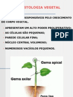 Histologia Vegetal