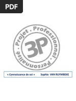 Projet Professionnel Personnalisé