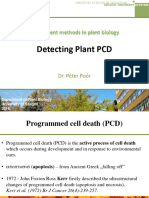 PCD in Plants