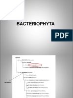 Farmasotik Botanik 2