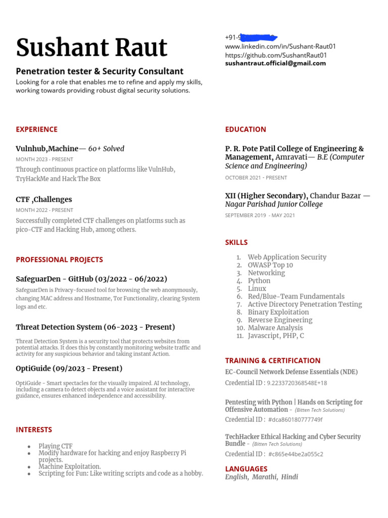 Sushant Raut: Security Consultant Resume | PDF | Security | Computer ...