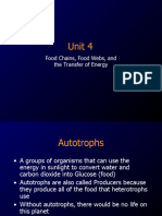 Unit 2, Part 3 Notes - Food Webs