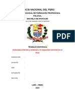 Amenazas Internas y Externas A La Seguridad Nacional en El Perú