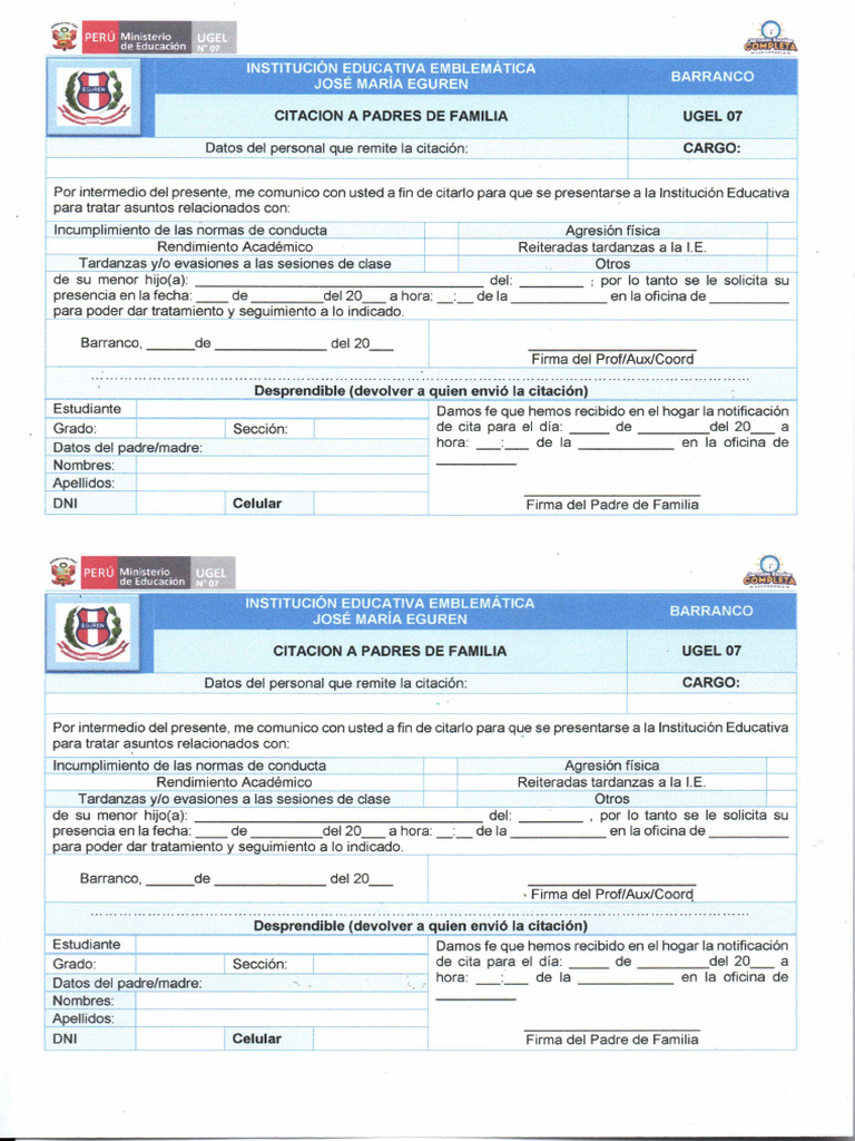 Modelo Citación de PP - Ff. | PDF