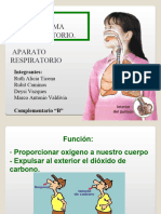 Sistema Respiratorio 3