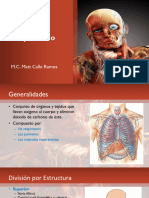 07. Anatomía del Aparato Respiratorio