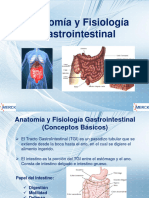 122090003-Anatomia-y-Fisiologia-Gastrointestinal