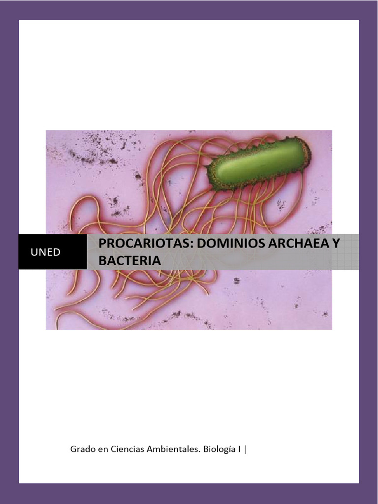 Procariotas: Archaea y Bacteria en Biología | PDF | Las bacterias ...