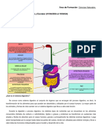 Guía de Contenidos de 1er Año - Ciencias Naturales