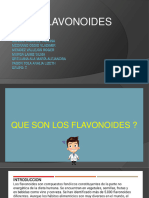 FLAVONOIDES Final