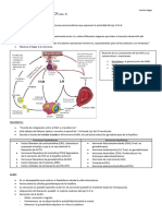 Fisiología Ginecológica