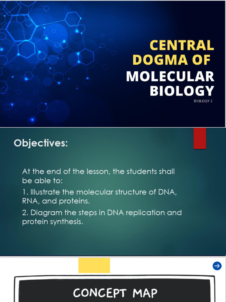 Molecular Biology: DNA & RNA Structures | PDF | Art | Science & Mathematics