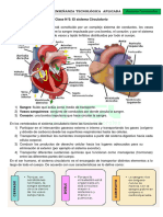 Clase N°3. El Sistema Circulatorio FARMACIA