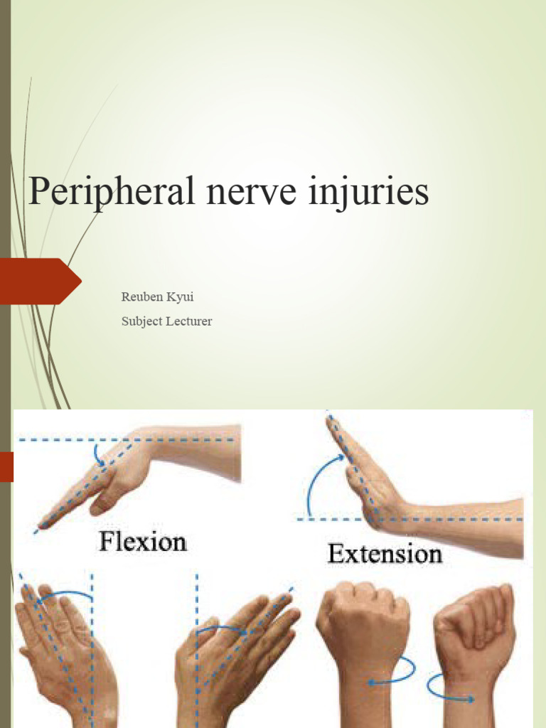 Peripheral Nerve Injury Guide | PDF | Elbow | Anatomical Terms Of Motion
