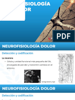 Neurofisiologia Dolor FSA