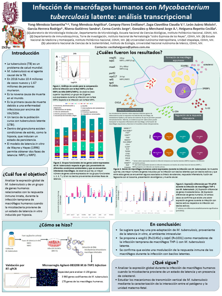 Infecto 2019 SAM | PDF | Tuberculosis micobacteriana | Infección