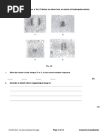 6.2 EQ Qith Markscheme