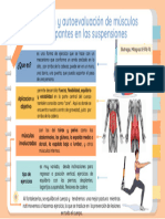 Musculos Participantes en La Suspension - Hecho Por Buitrago, Milagros 8-976-76