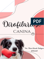 Dirofilariose Canina