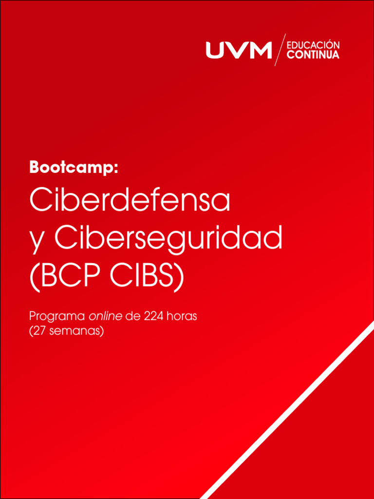 Bootcamp Online en Ciberseguridad UVM | PDF | La seguridad informática ...