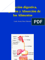 Secreción, Digestión y Absorción - PPT 3
