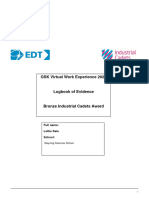 Virtual Work Experience Logbook GSK Ocotber 2022
