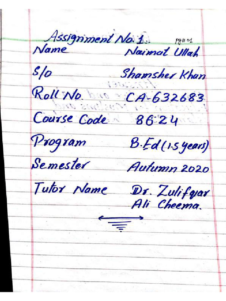 Assignment 1.8624 | PDF