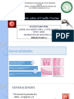 Operación Sobre El Cuello Uterino Castillo r2