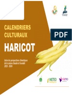 Livre Haricot 2023 2024 - VF - RF8