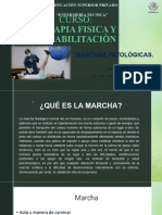 Terapia 25-5 Marchas (4)