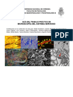 Guía Trabajo Práctico Microscopía 2021