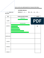 Informe Semanal (2)