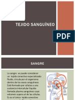 Tejido Sanguineo