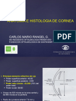 Anatomía e Histología de La Cornea (Carlos Mario Rangel)