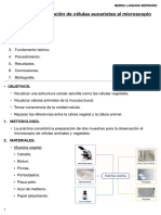 Práctica 1 fisiopatología (Nerea Laguna Serrano CAP1)