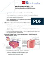 U8. SISTEMA CARDIOVASCULAR ACTIVIDADES (Nerea Laguna Serrano CAP1-A) 2