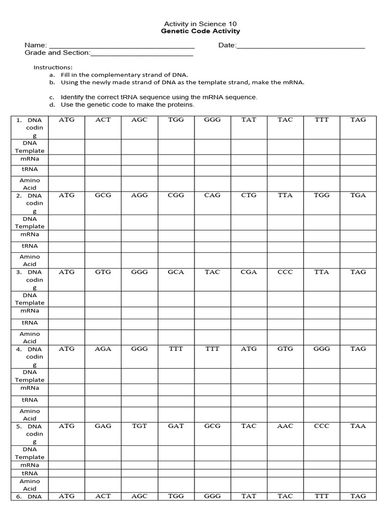 Genetic Code Activity Worksheet | PDF