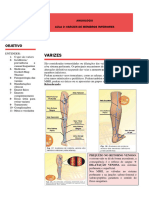 Aula 2 - Varizes Dos MMII