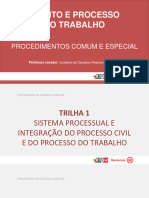 01 DPT_Procedimento Comum e Especial_Slides 01_trilha 01_B