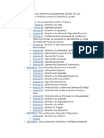 FDW Lista Derechos Constitucionales Constitución 2015