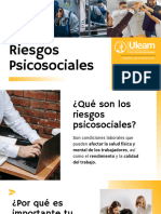 Riesgos Psicosociales y Burnout Diapositivas.