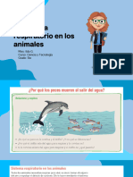 El Sistema Respiratorio en Los Animales - 5º