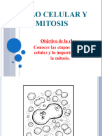Ciclo Celular y Mitosis